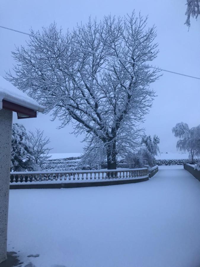 Lovely 2-Bed Cottage At The Foot Of The Mournes Newry Zewnętrze zdjęcie