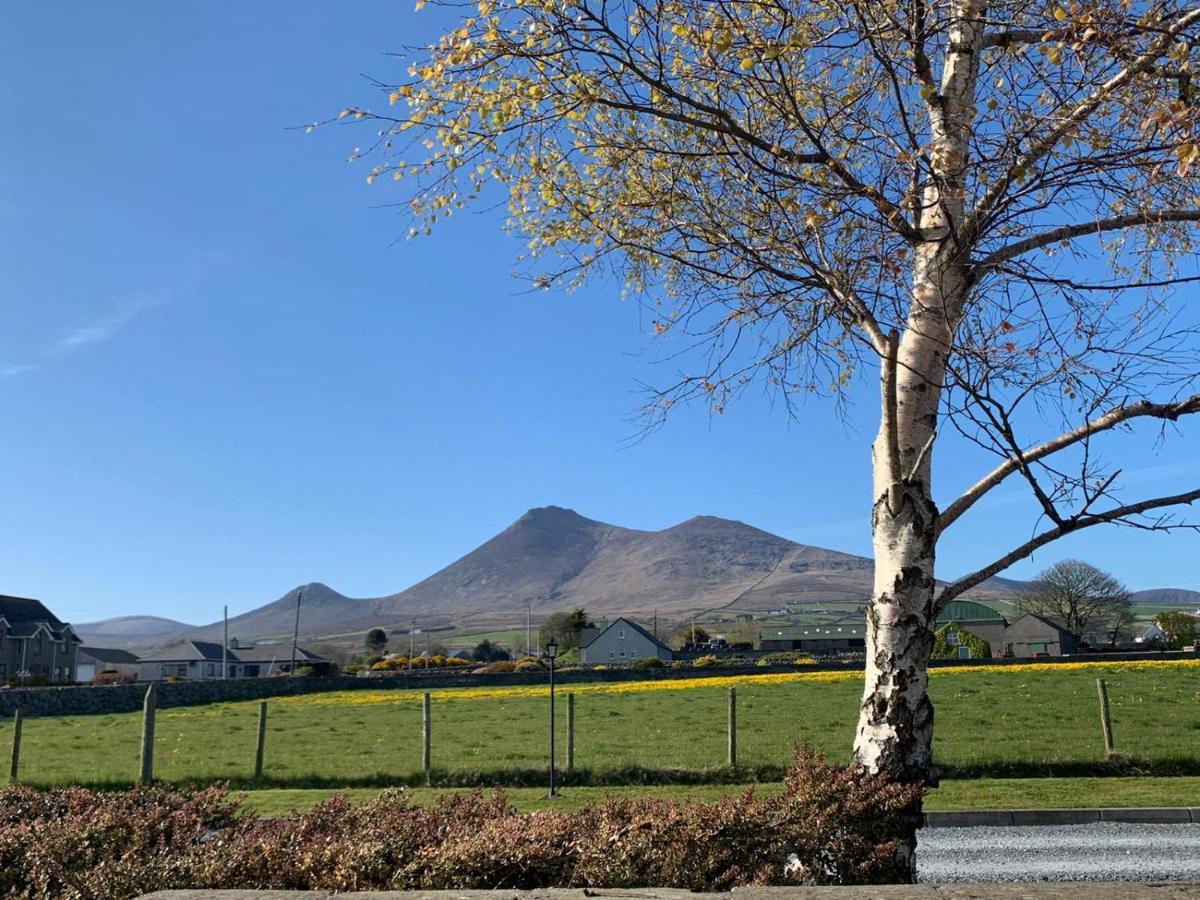 Lovely 2-Bed Cottage At The Foot Of The Mournes Newry Zewnętrze zdjęcie