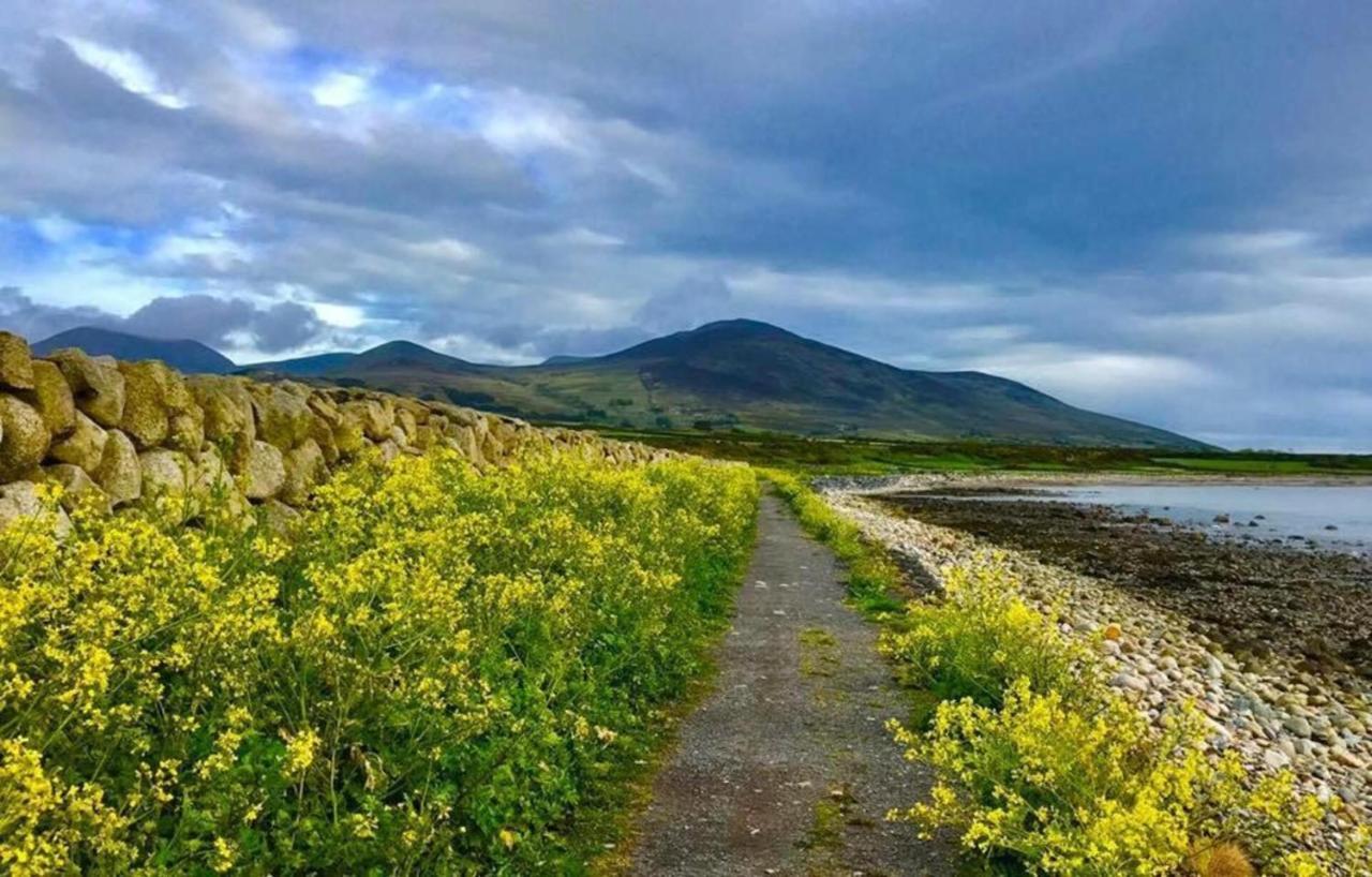 Lovely 2-Bed Cottage At The Foot Of The Mournes Newry Zewnętrze zdjęcie